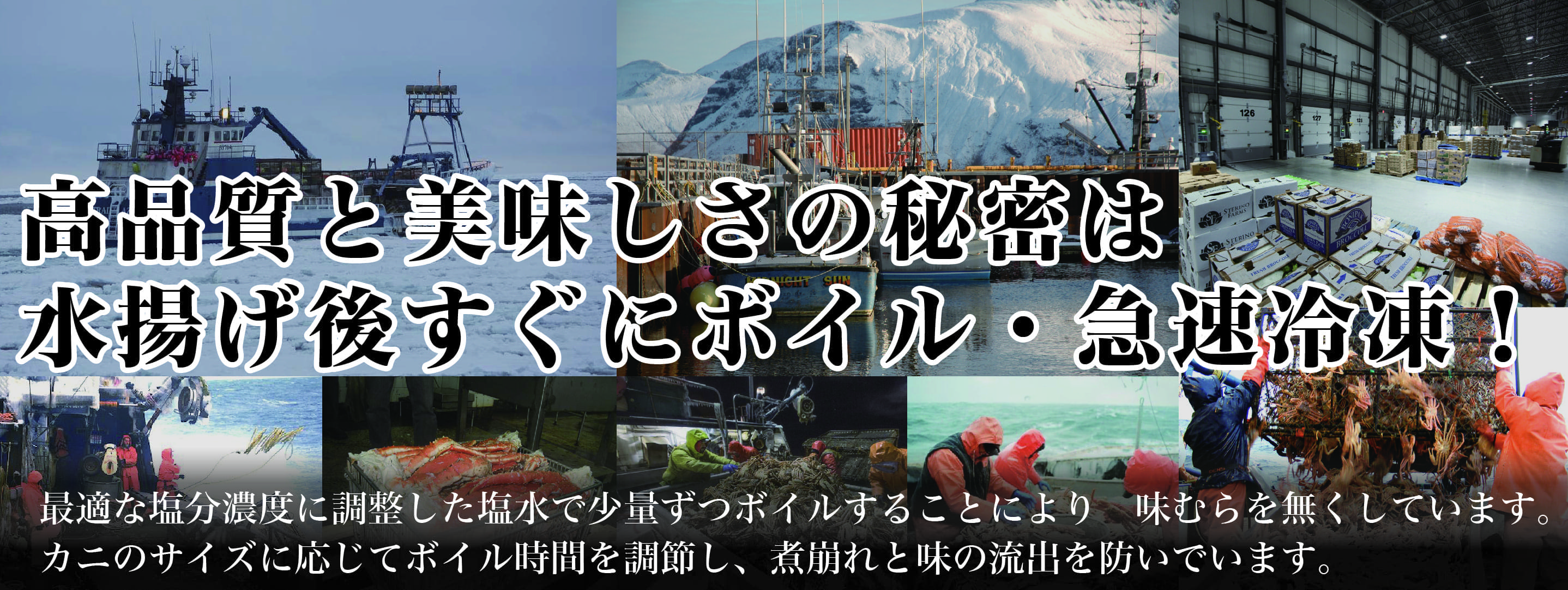ボイル・急速冷凍・船上・SPサイズ